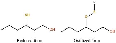 Unravelling copper effect on the production of varietal thiols during Colombard and Gros Manseng grape juices fermentation by Saccharomyces cerevisiae